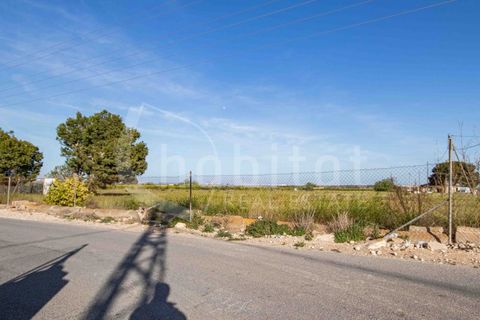 Terra a Rojales, Alicante, Rojales - € 125.000 | Ref: SO-172206 - foto 3