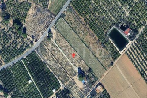 Grond in Rojales, Alicante, Rojales - € 125.000 | Ref: SO-172206 - foto 2
