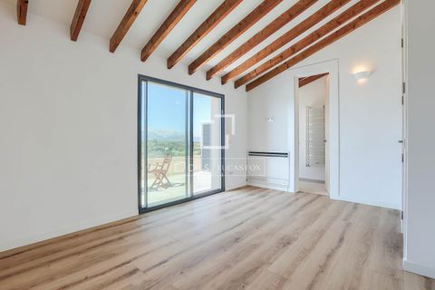 Villa - Llubi, Mallorca, Llubi - € 1 250 000 | Réf : MAL56777 - photo 18