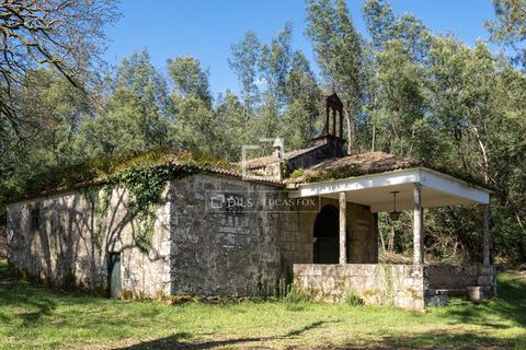 Landejendom i Teo, Coruna, Teo - € 950.000 | Ref: VIG57880 - foto 8