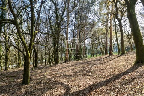 Landejendom i Teo, Coruna, Teo - € 950.000 | Ref: VIG57880 - foto 35