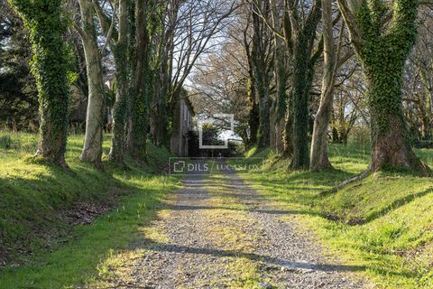 Landejendom i Teo, Coruna, Teo - € 950.000 | Ref: VIG57880 - foto 39