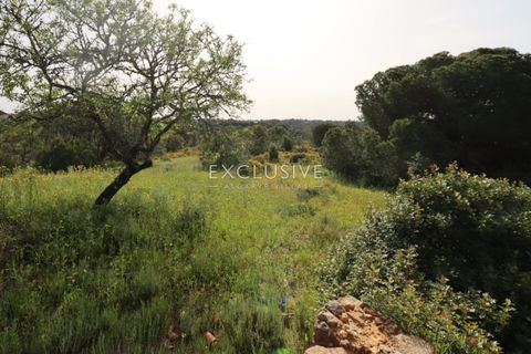 Helårsgrund i Lagoa, Faro, Lagoa - € 890.000 | Ref: EAV-3993 - foto 12