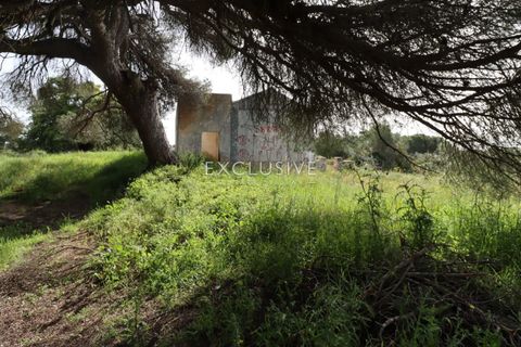 Helårsgrund i Lagoa, Faro, Lagoa - € 890.000 | Ref: EAV-3993 - foto 10
