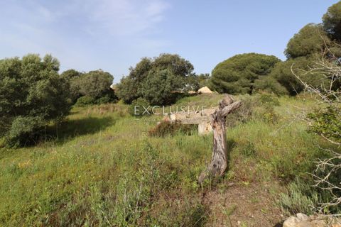 Helårsgrund i Lagoa, Faro, Lagoa - € 890.000 | Ref: EAV-3993 - foto 11