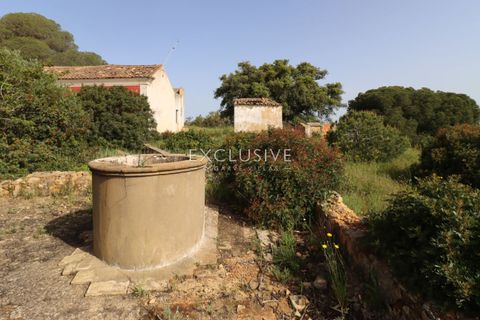 Helårsgrund i Lagoa, Faro, Lagoa - € 890.000 | Ref: EAV-3993 - foto 5