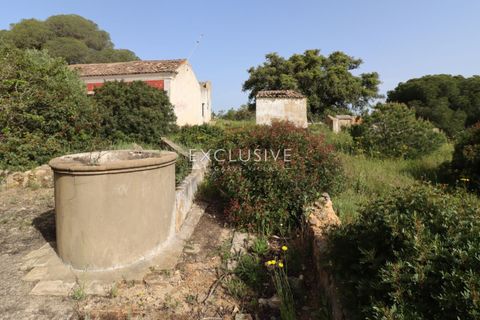 Helårsgrund i Lagoa, Faro, Lagoa - € 890.000 | Ref: EAV-3993 - foto 32