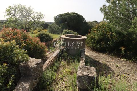 Helårsgrund i Lagoa, Faro, Lagoa - € 890.000 | Ref: EAV-3993 - foto 33