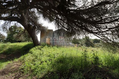 Helårsgrund i Lagoa, Faro, Lagoa - € 890.000 | Ref: EAV-3993 - foto 35