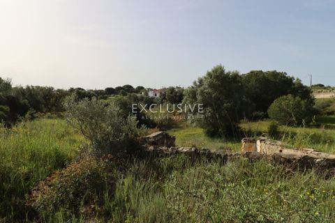 Helårsgrund i Lagoa, Faro, Lagoa - € 890.000 | Ref: EAV-3993 - foto 37