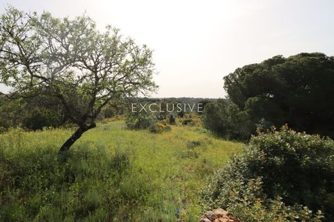 Helårsgrund i Lagoa, Faro, Lagoa - € 890.000 | Ref: EAV-3993 - foto 42