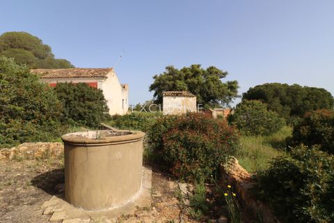 Helårsgrund i Lagoa, Faro, Lagoa - € 890.000 | Ref: EAV-3993 - foto 43