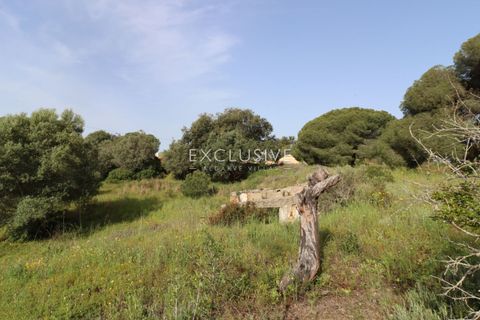 Helårsgrund i Lagoa, Faro, Lagoa - € 890.000 | Ref: EAV-3993 - foto 44