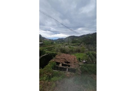 Villa i Arcos de Valdevez, Viana do Castelo, Arcos de Valdevez - € 40.000 | Ref: ICAMBAO40 - foto 3