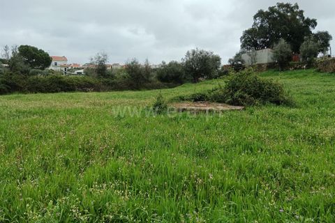 Landejendom i Castelo Branco, Castelo Branco, Castelo Branco - € 25.500 | Ref: 102250070 - foto 2
