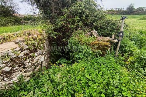 Landejendom i Castelo Branco, Castelo Branco, Castelo Branco - € 25.500 | Ref: 102250070 - foto 3