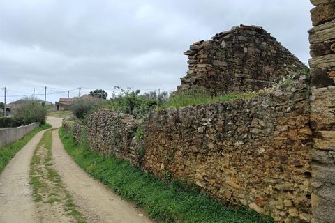 Landejendom i Castelo Branco, Castelo Branco, Castelo Branco - € 25.500 | Ref: 102250070 - foto 8
