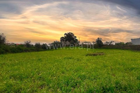 Landejendom i Castelo Branco, Castelo Branco, Castelo Branco - € 25.500 | Ref: 102250070 - foto 4
