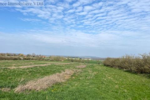 Terra a Haraucourt, Meurthe-et-Moselle, Haraucourt - € 75.000 | Ref: V695 - foto 2