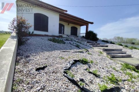 Villa i Agueda, Aveiro, Agueda - € 269.000 | Ref: CAS_235 - foto 6