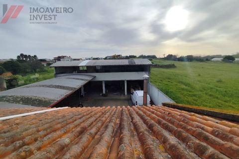 Villa i Agueda, Aveiro, Agueda - € 269.000 | Ref: CAS_235 - foto 9