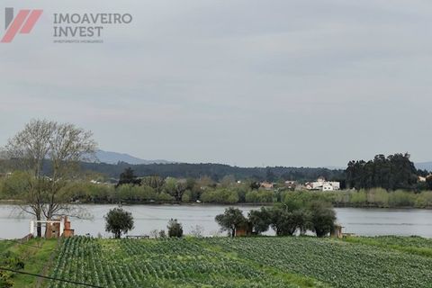Villa i Agueda, Aveiro, Agueda - € 269.000 | Ref: CAS_235 - foto 16