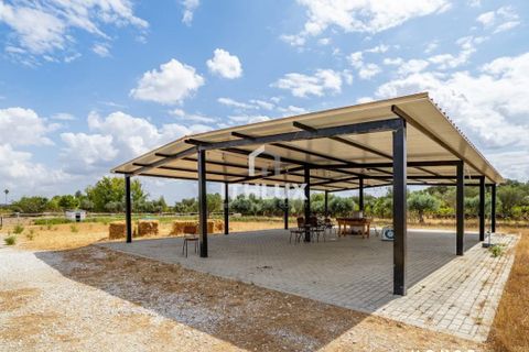 Erhvervsejendom i Redondo, Evora, Redondo - € 795.000 | Ref: ITH3469 - foto 6