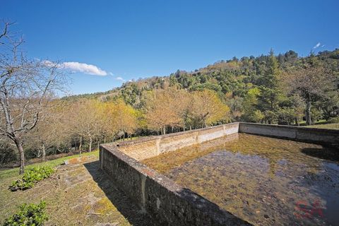 Villa i Braga, Braga, Braga - € 2.650.000 | Ref: 1817 - foto 36