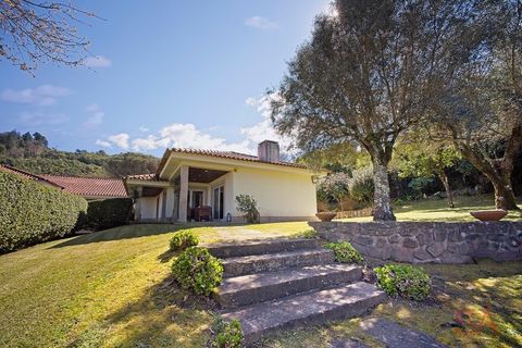 Farm i Braga, Braga, Braga - € 2.650.000 | Ref: QUI_1817 - foto 32
