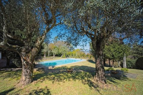 Farm i Braga, Braga, Braga - € 2.650.000 | Ref: QUI_1817 - foto 34