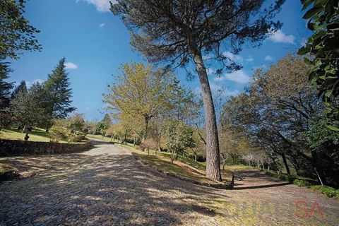 Farm i Braga, Braga, Braga - € 2.650.000 | Ref: QUI_1817 - foto 38