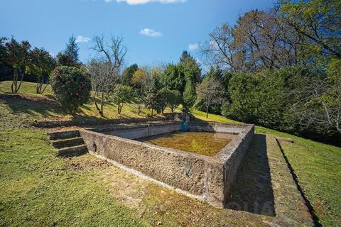 Farm i Braga, Braga, Braga - € 2.650.000 | Ref: QUI_1817 - foto 39