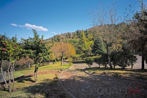 Farm i Braga, Braga, Braga - € 2.650.000 | Ref: QUI_1817 - foto 41