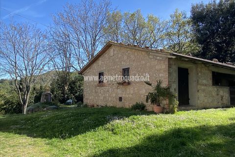 Farm hus i Cetona, Siena, Cetona - € 1.450.000 | Ref: CA321 - foto 5