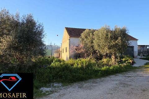 Villa i Ourem, Santarem, Ourem - € 290.000 | Ref: HD019 - foto 31