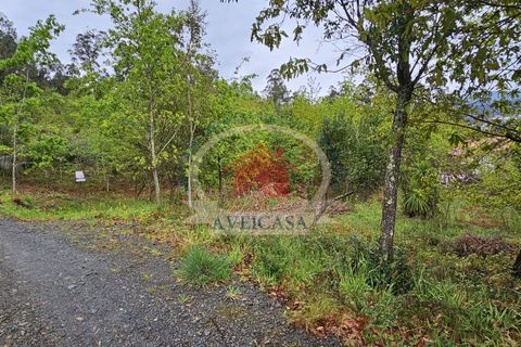 Helårsgrund i Sever do Vouga, Aveiro, Sever do Vouga - € 20.000 | Ref: 21119 - foto 1