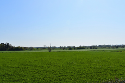Villa i Parma, Parma, Parma - € 730.000 | Ref: parma700 - foto 45