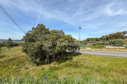 Erhvervsejendom i Abrantes, Santarem, Abrantes - € 70.000 | Ref: 01492-25 - foto 7