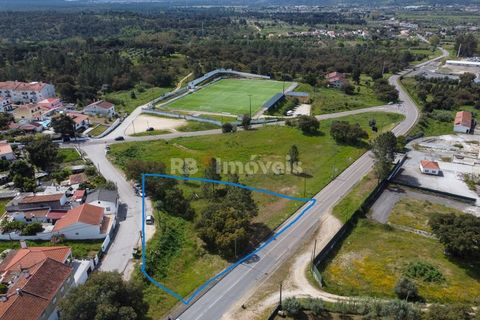 Erhvervsejendom i Abrantes, Santarem, Abrantes - € 70.000 | Ref: 01492-25 - foto 5