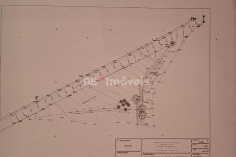 Erhvervsejendom i Abrantes, Santarem, Abrantes - € 70.000 | Ref: 01492-25 - foto 8
