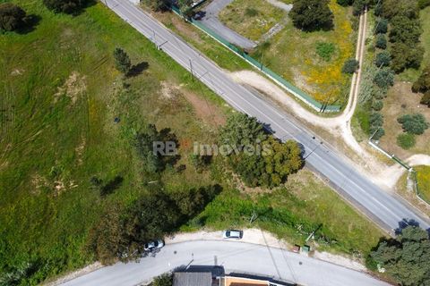 Erhvervsejendom i Abrantes, Santarem, Abrantes - € 70.000 | Ref: 01492-25 - foto 2