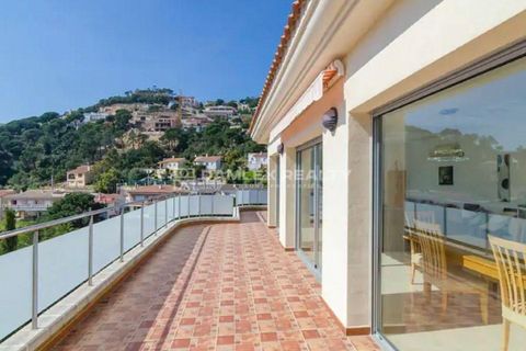 Villa i Lloret De Mar, Gerona, Lloret De Mar - € 799.000 | Ref: 74678 - foto 14