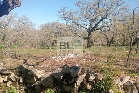 Helårsgrund i Pombal, Leiria, Pombal - € 85.000 | Ref: TER_572 - foto 16