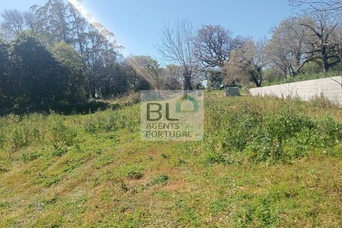 Villa i Pombal, Leiria, Pombal - € 35.000 | Ref: CAS_571 - foto 3