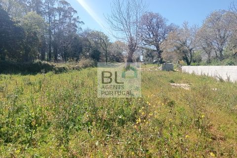 Villa i Pombal, Leiria, Pombal - € 35.000 | Ref: CAS_571 - foto 4