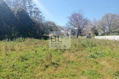 Villa i Pombal, Leiria, Pombal - € 35.000 | Ref: CAS_571 - foto 6