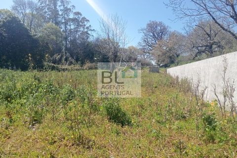 Villa i Pombal, Leiria, Pombal - € 35.000 | Ref: CAS_571 - foto 7