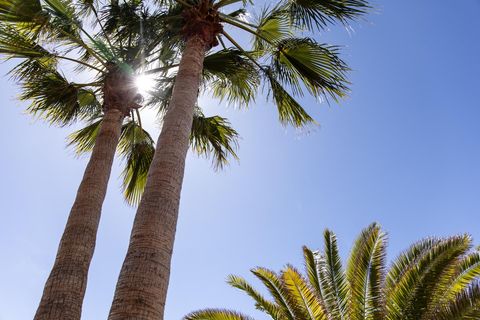 Villa i La Caldera, Tenerife, La Caldera - € 7.700.000 | Ref: IB-F5S - foto 18