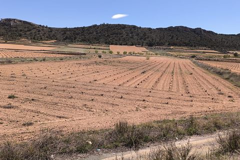 Terra a Abanilla, Murcia, Abanilla - € 39.990 | Ref: 70034 - foto 2