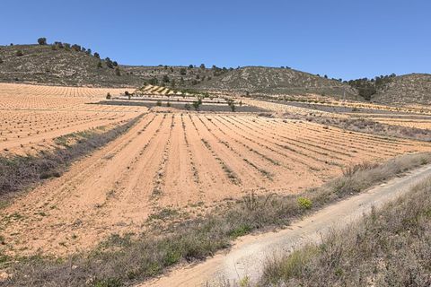 Terra a Abanilla, Murcia, Abanilla - € 39.990 | Ref: 70034 - foto 3